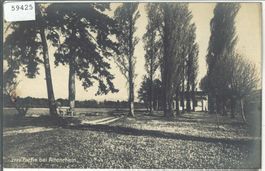 Partie bei Altenrhein