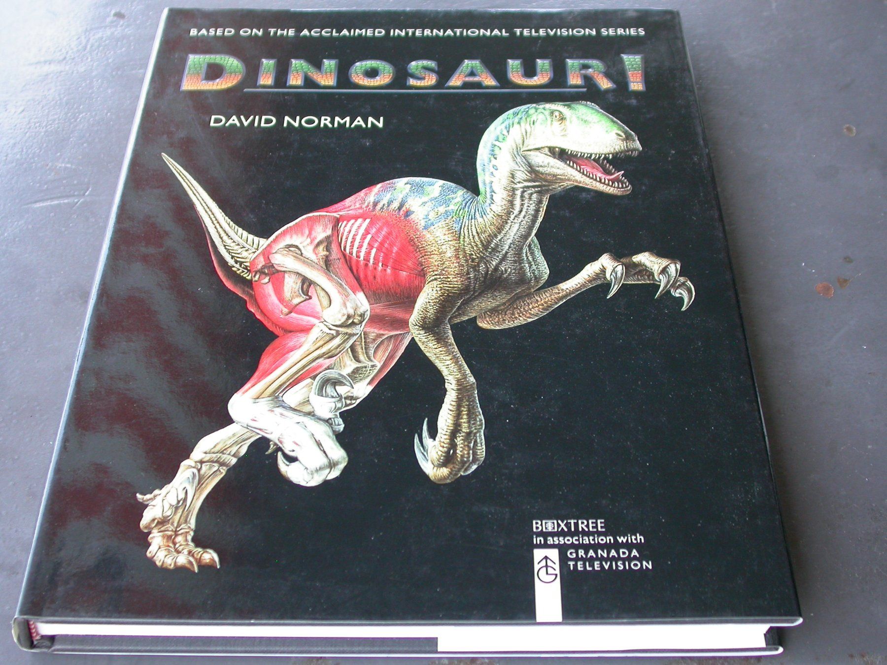 Libri: Dinosaur – Usato da Zürich venduto da Marcel6887