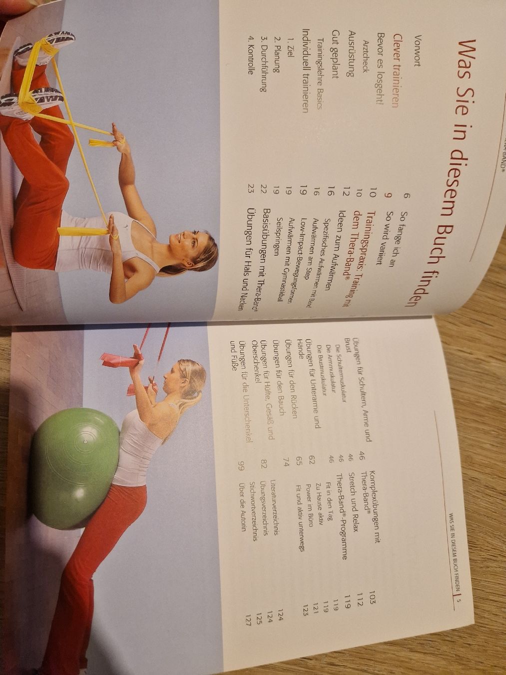 Libri: Thera-Band Trainingsbuch – Usato da Benken venduto da Carmen_9 1