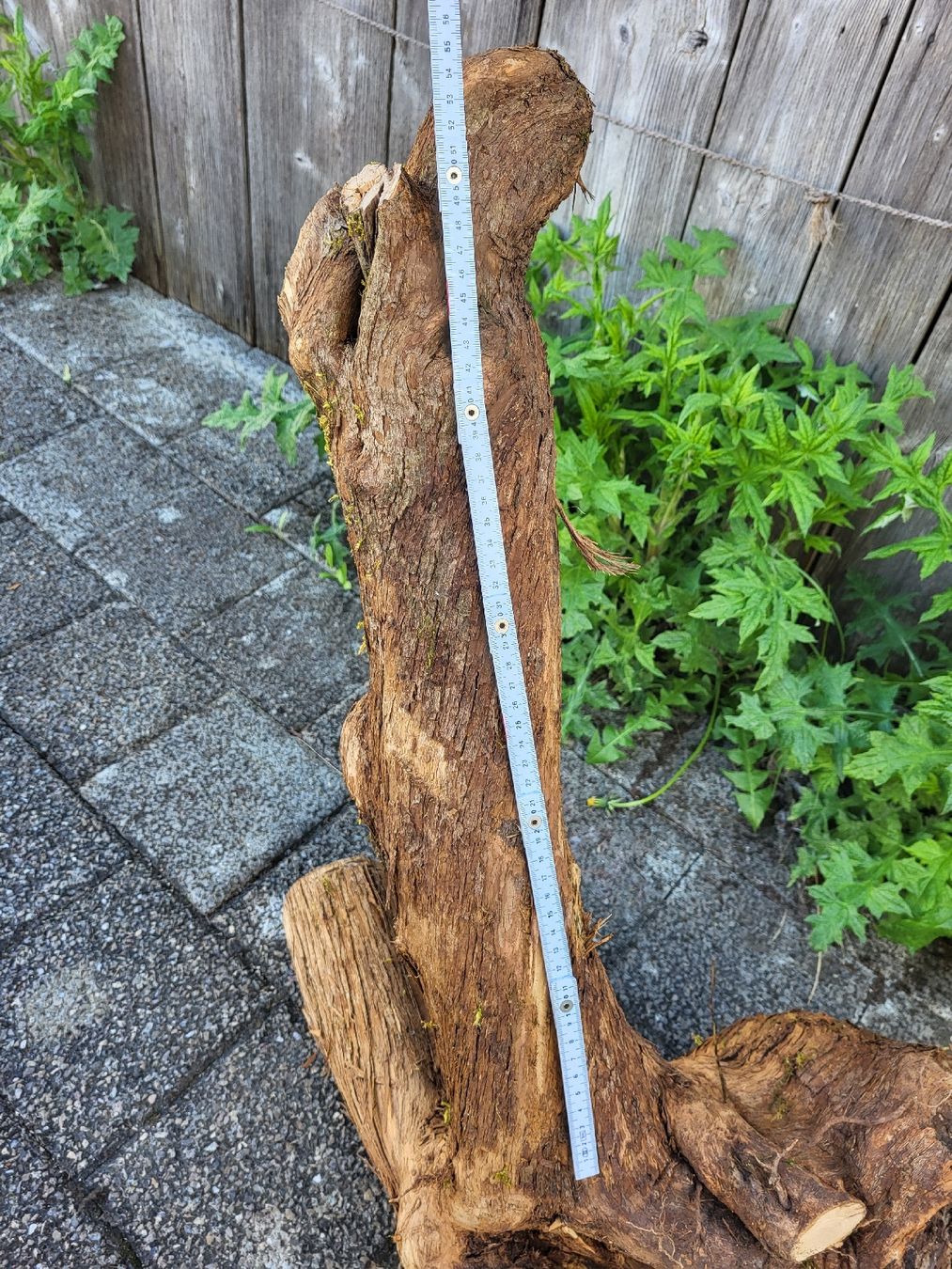 Articoli in legno: Drechselholz Flieder – Nuovo (secondo la descrizione) da Bubikon venduto da Munze1 5