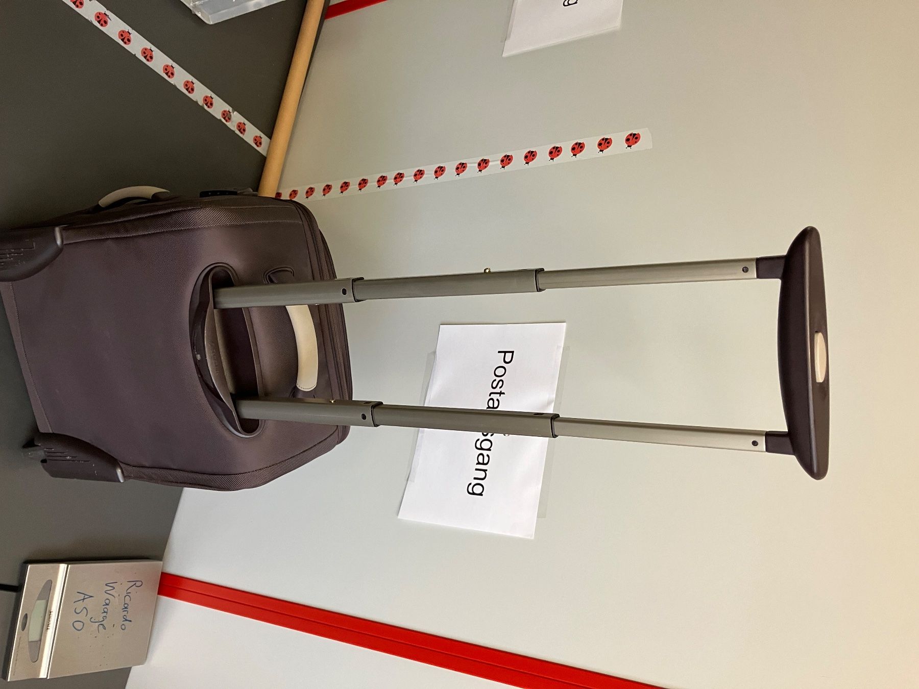 Samsonite Valigie: Handgepäck Koffer Samsonite – Usato da Aarburg venduto da Wendepunkt_Fundgrube 6