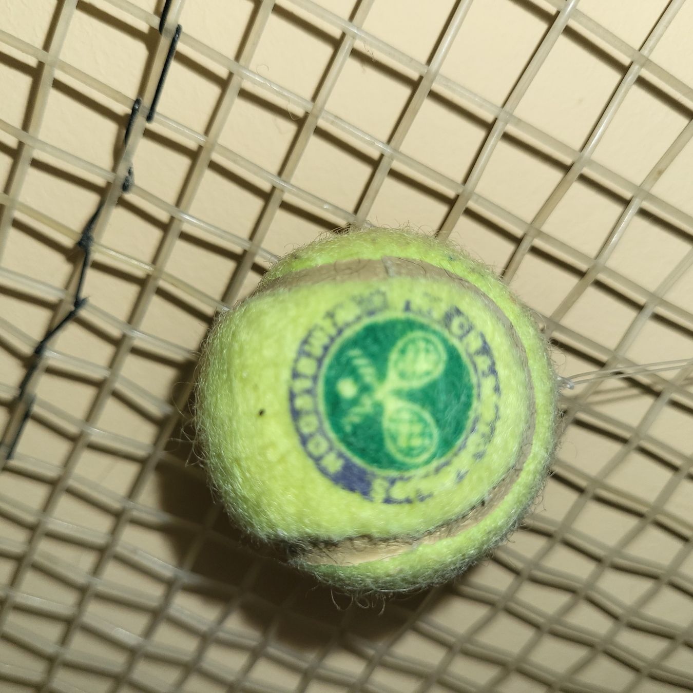 Dunlop Racchette: Holztennisschläger Dunlop – Usato da Berikon venduto da Zimmerlinde5 3