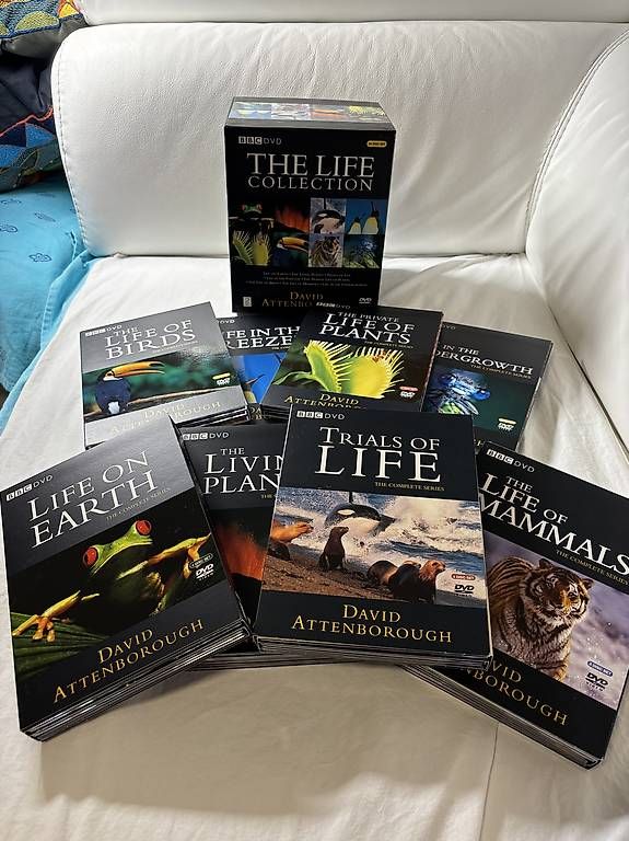 Tous les DVDs: DVD - The Life collection - BBC – D'occasion à Massagno par NiniLiliTiti 1