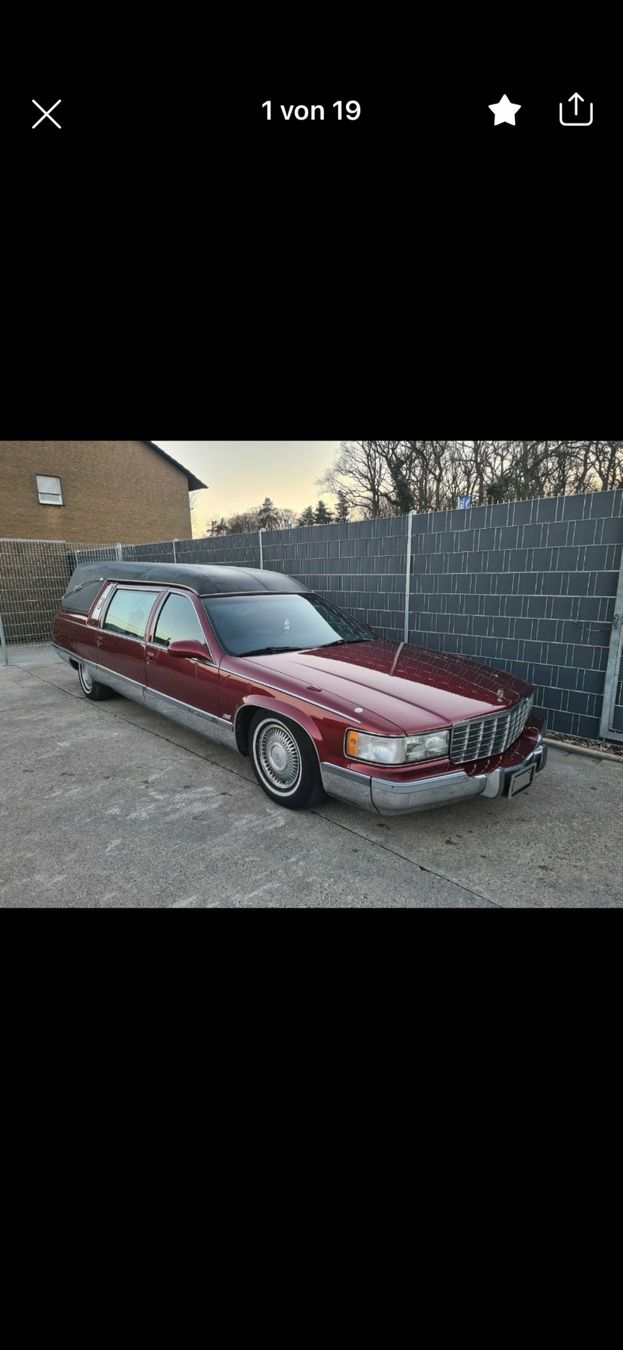 Cadillac Automobili: Cadillac Leichenwagen lt1 v8 – Usato da Reinach AG venduto da rares75 6