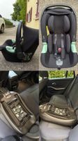 Babyschale Tulip i-Size black + Isofix Base Root
