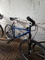 Rocky Mountain Thin Air: Vintage Mountainbike, Top Zustand