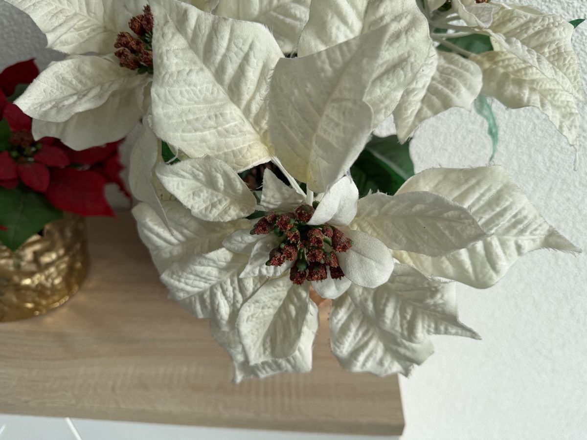 Tutte le decorazioni: Deco Weihnachtsstern Kunstblumen – Nuovo (secondo la descrizione) da Bettlach venduto da Tradenet100 1