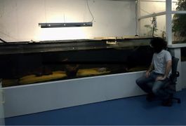 Aquarium 4500 l / 4.0 m x 1.4 m x 0.8 m / 15mm Glasdicke