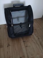 Hunde Trolley