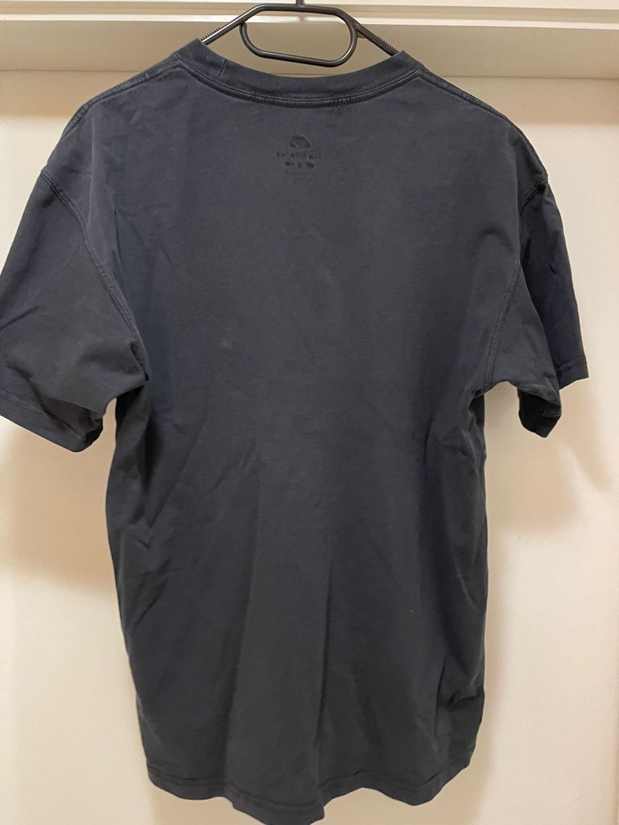 Champion T-shirt: Champion TShirt – Usato da Gretzenbach venduto da jan187 4