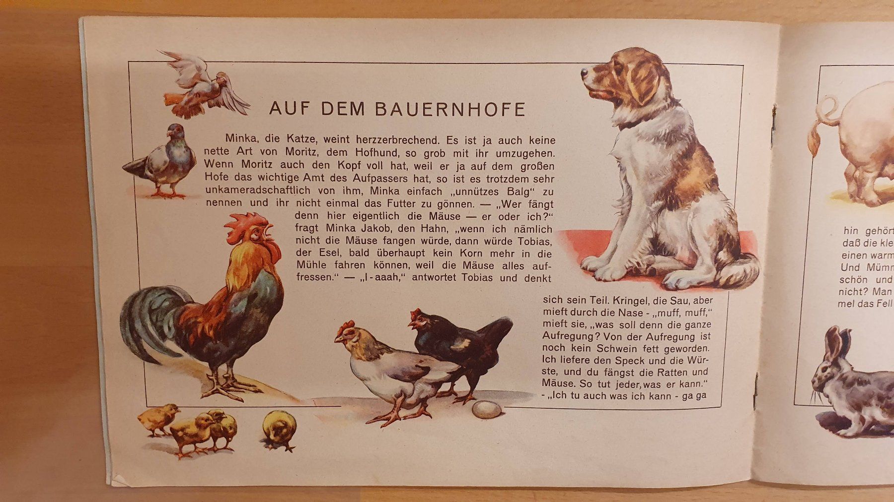 Bücher: Gute Freunde - treue Helfer! – Gebraucht aus Dietlikon von Justus4 2