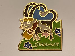1 Pin Savogniner