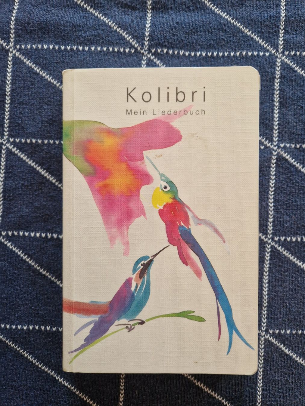 Libri: Kolibri Mein Liederbuch – Usato da MUEHLAU venduto da ibo_5c7d