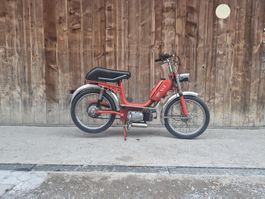 Milani Pony mit Minarelli Motor