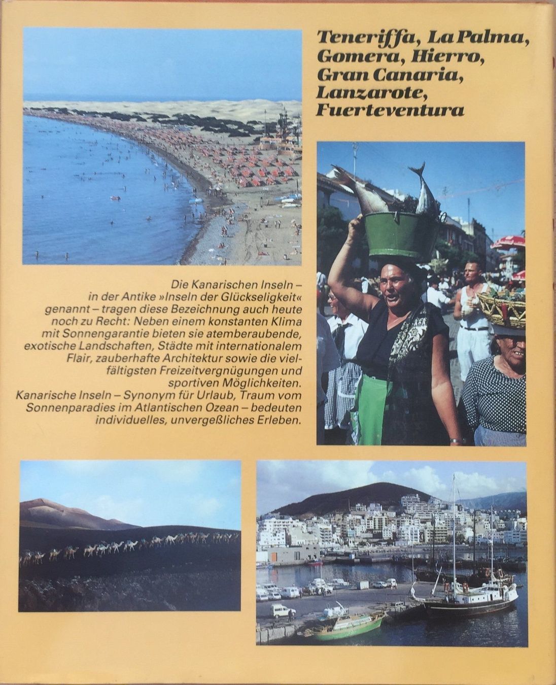 Libri: Buch - Kanadische Inseln – Usato da Leimbach TG venduto da manu-tg 1