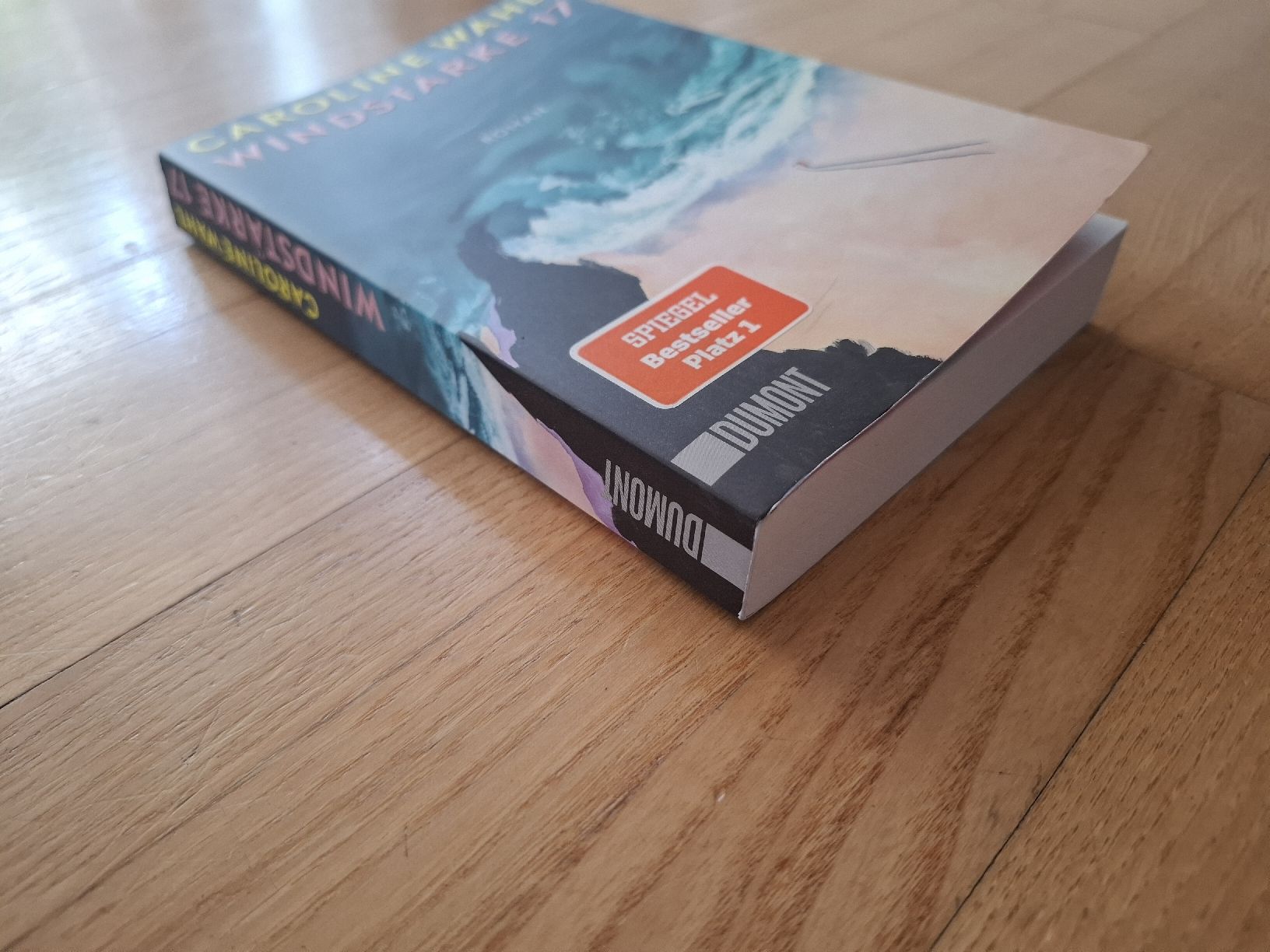 Bücher: Caroline Wahl - Windstärke 17 – Gebraucht aus Gossau ZH von herrerra.25 2