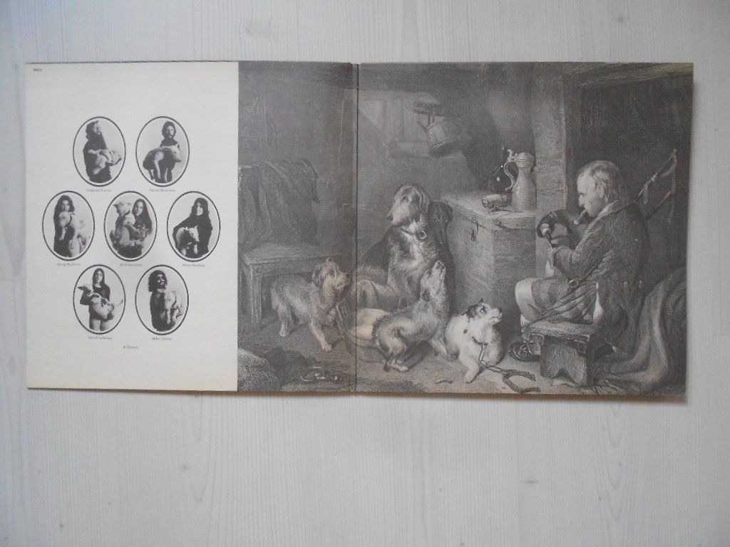 Schallplatten: PAVLOV'S DOG  -  PAMPERED MENIAL – Gebraucht aus Bex von Giorgiob 2