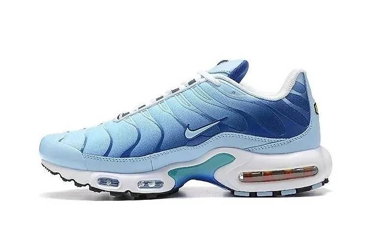 Nike Scarpe da uomo: Nike Air Max Plus TN Blau – Nuovo (secondo la descrizione) da Ennetbürgen venduto da lel_8kf7