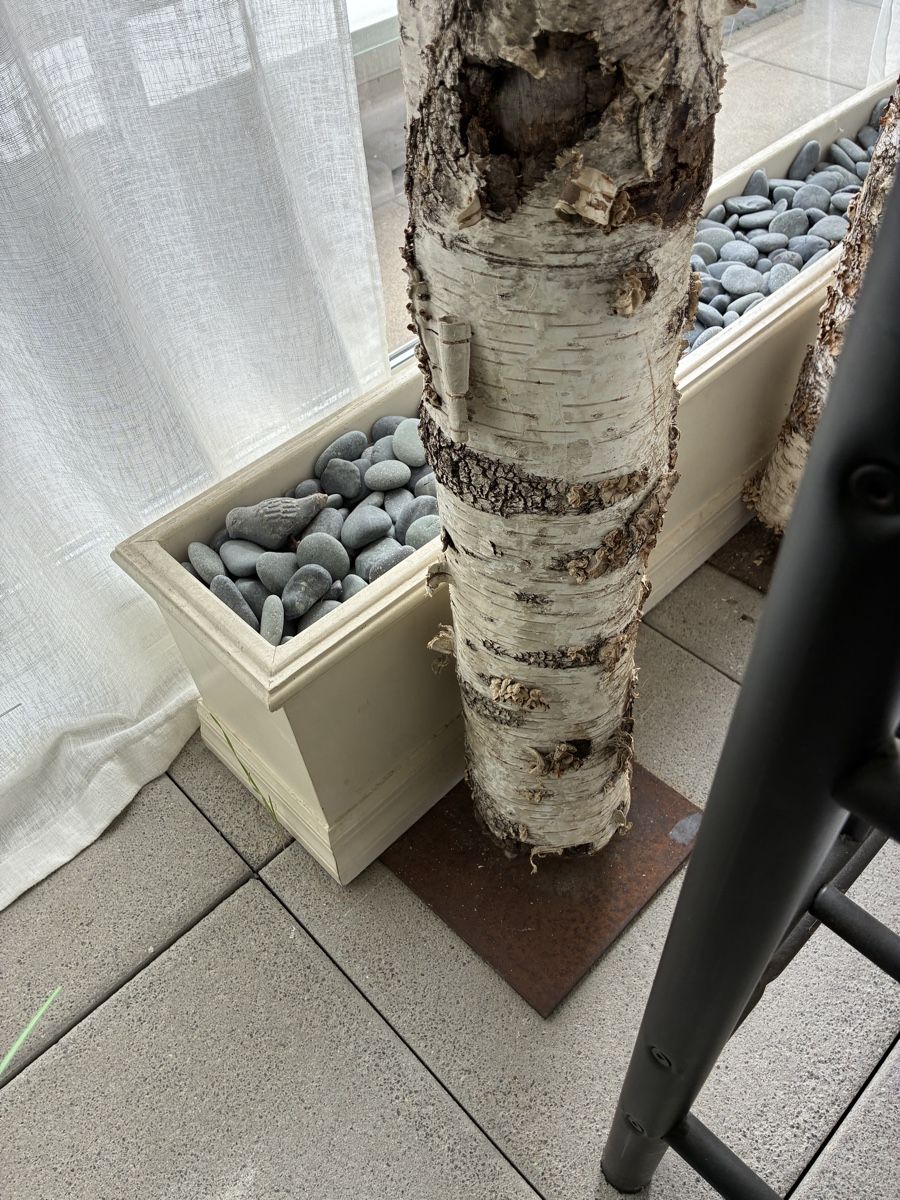 Toutes les décorations: Birkenstämme  4 Stück – D'occasion à Beringen par Ally7 2