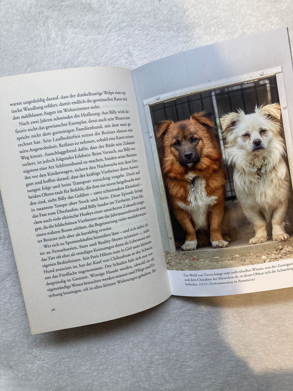 Bücher: Heimatlos: Tagebuch einer Tierschützerin – Gebraucht aus Ehrendingen von eli_dr72 2