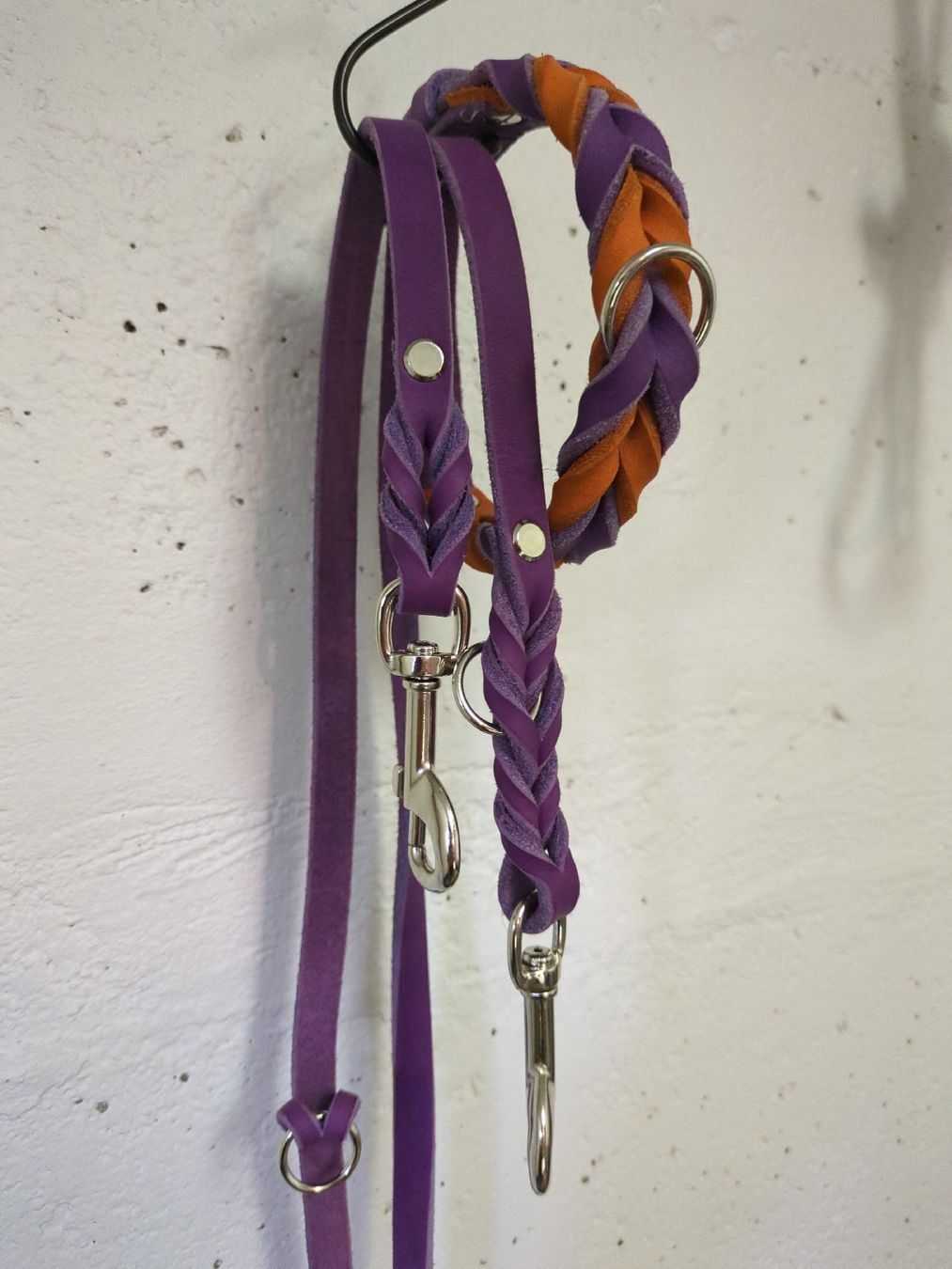 Leine & Halsband: Hundeleine mit Halsband  – Neu (gemäss Beschreibung) aus Allschwil von bessi01