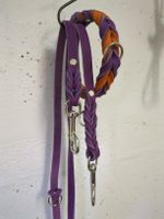 Hundeleine mit Halsband 