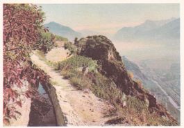 Vignoble de Sion  ( Bisse de Clavoz ) Varone