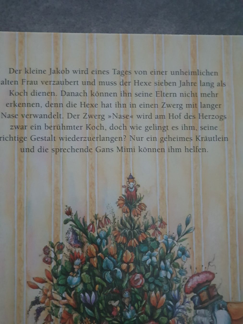 Libri: Der Zwerg Nase – Usato da Münsingen venduto da Sokilein 1