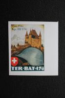TER-BAT-174 Ter. Füs. Kp. III/174 Soldatenmarke geschnitten