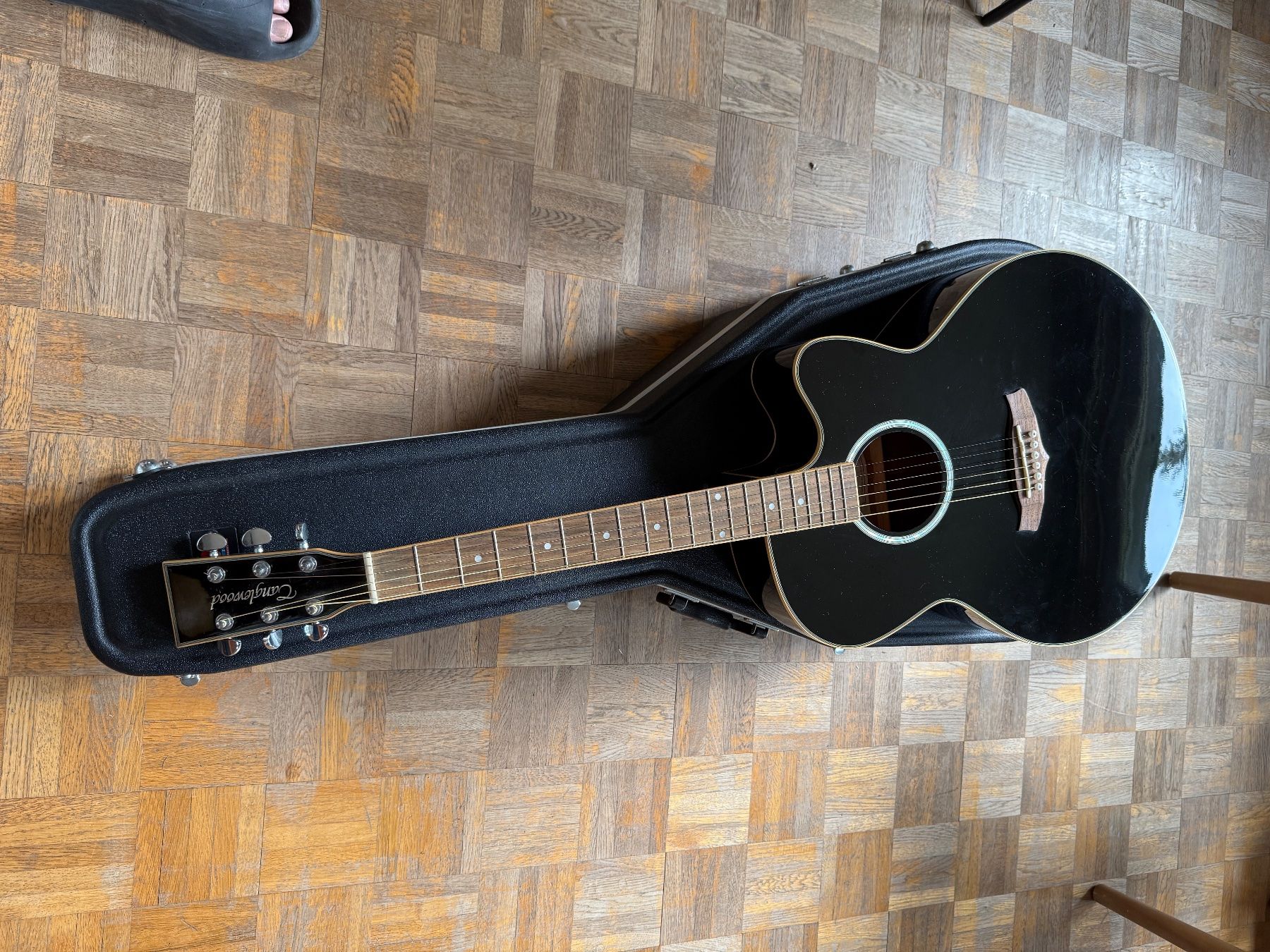Strumenti musicali: Elektro-Akustikgitarre mit Fishman & Gator Koffer – Usato da Schaffhausen venduto da jplunkett 1
