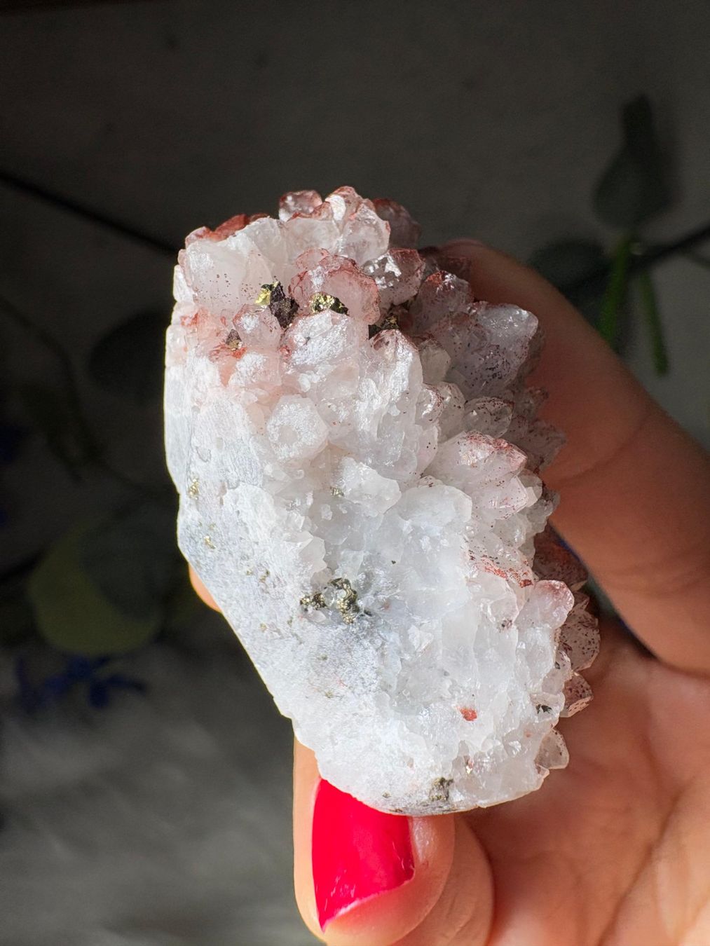 Minerali & Pietre curative: Pyrit auf rotem Quarz-Cluster – Nuovo e nell'imballaggio originale da Neuheim venduto da m.hald 8