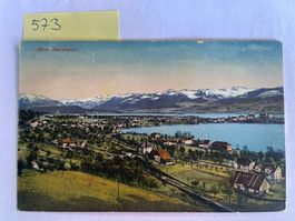 alte Fotokarte Rapperswil mit Berge