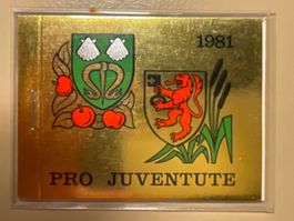 Pro Juventute 1981 1.Tag