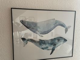 Bild Walfische von Micasa