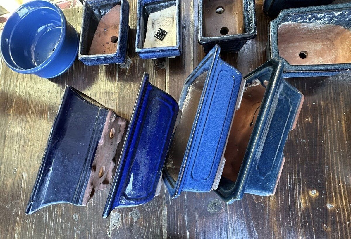 Blumentöpfe: Bonsai Töpfe – Neu (gemäss Beschreibung) aus Trogen von dan_l78r 1