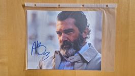 Antonio Banderas, Original Autogramm auf Grossfoto in Farbe