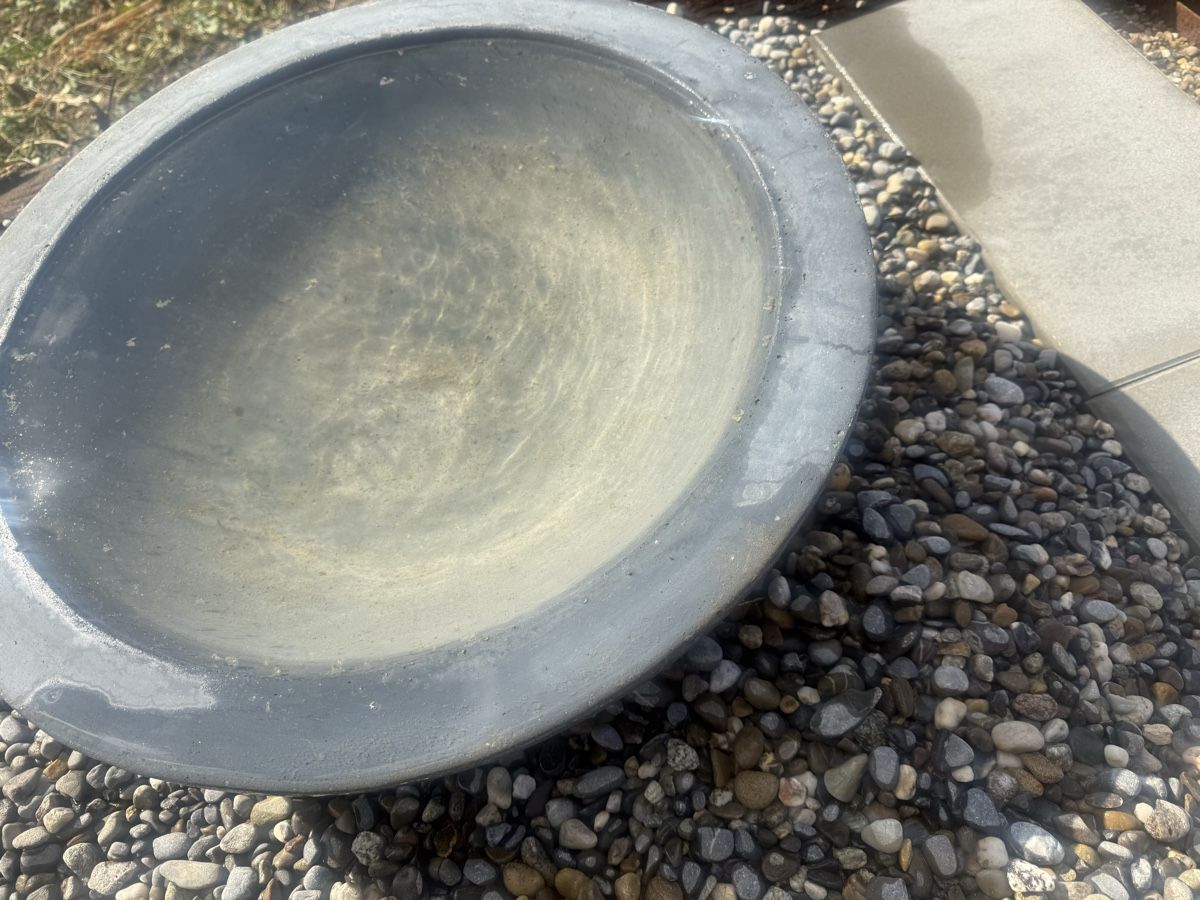 Schalen: Wasserschale – Gebraucht aus Horriwil von Carrera68 3