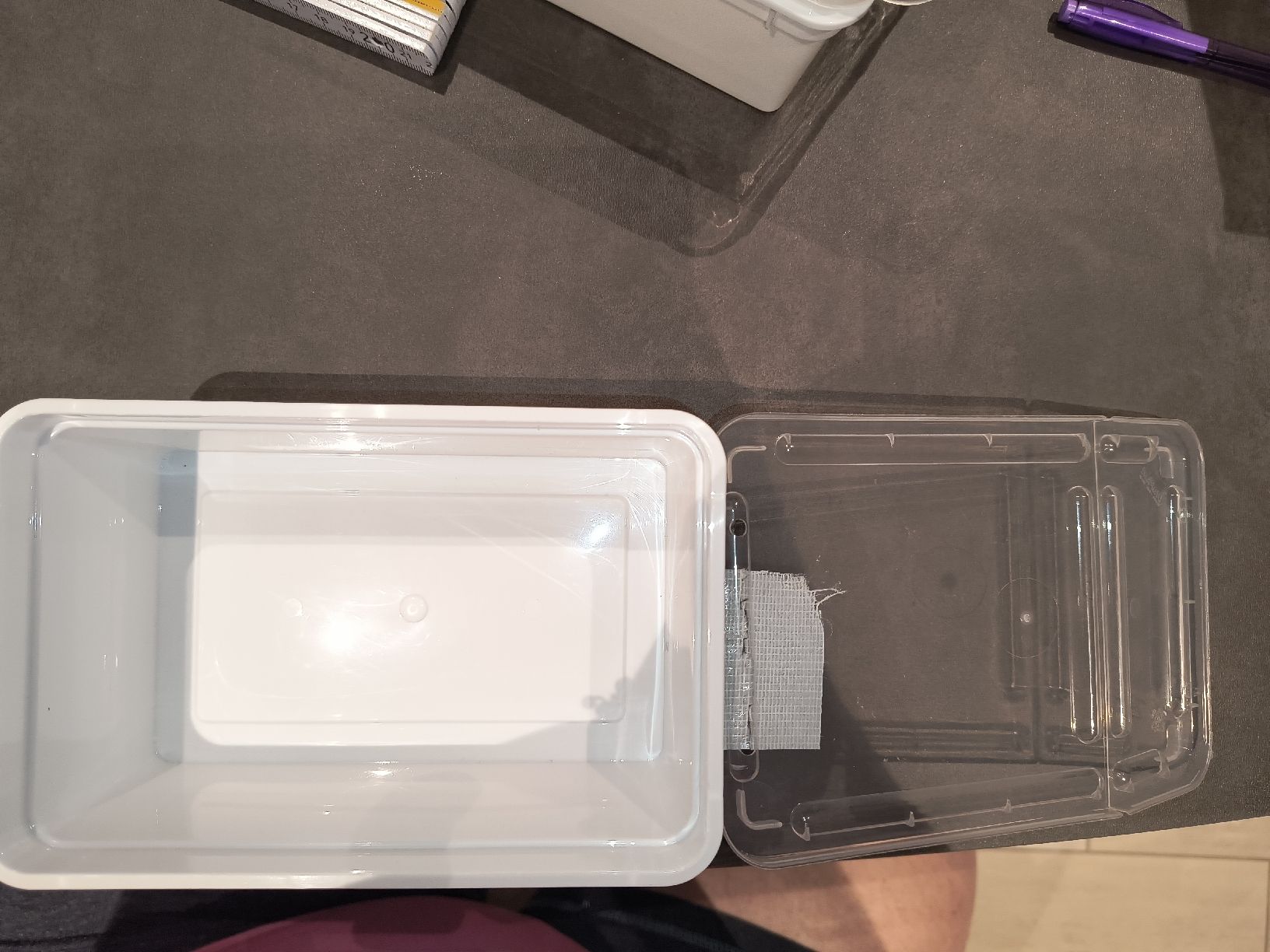 Contenitori & Simili: Aufzuchtbox oder Quarantänenbox Kunststoff weiss mit Deckel – Usato da Würenlingen venduto da Striga 2