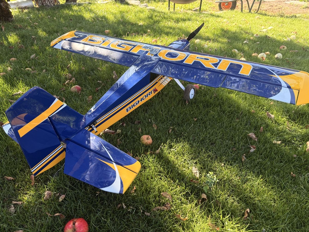 Omphobby RC Modellbau: OMP Hobby Bighorn Pro – Gebraucht aus Oberwil i. S. von PilotM 1