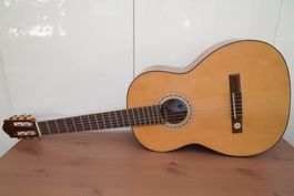 Klassische Gitarre GEWA Pro Arte 4/4, massive Zeder Decke