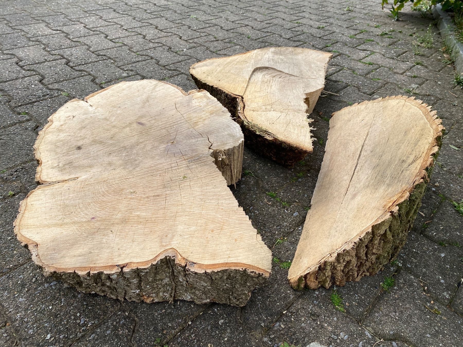Articoli in legno: 3 schöne Esche-Baumscheiben – Usato da Feldbach venduto da Olive1