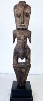 Rarität ausdrucksstarke alte Lega Kongo Skulptur Höhe 39 cm