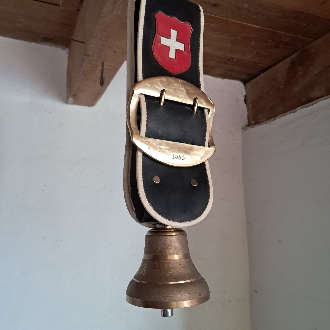 Campanacci mucche: SCHWEIZER GLOCKE 1986 – Usato da Murten venduto da SHETHOF 4