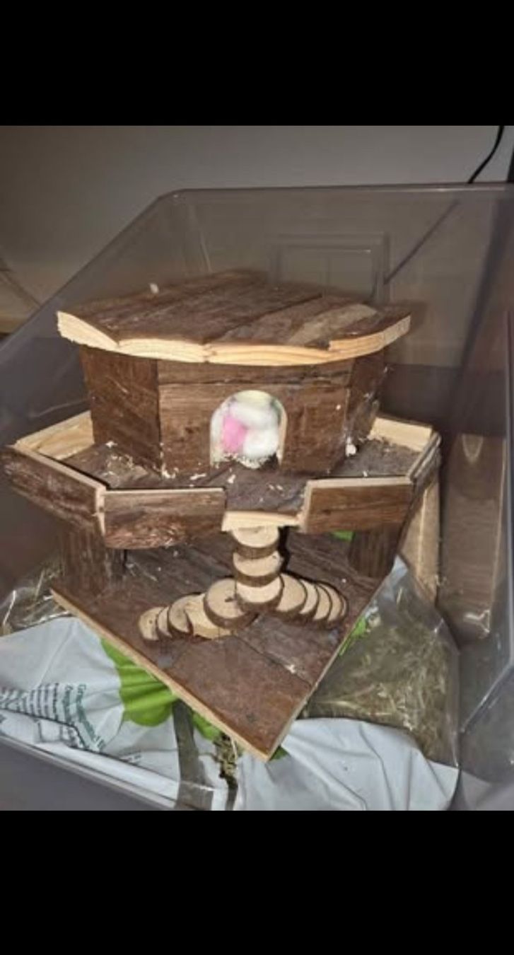 Gabbie, trasporto & Sicurezza: Hamsterkäfig mit Zubehör gebraucht – Usato da Glattpark(Opfikon) venduto da dra_lw2t 3