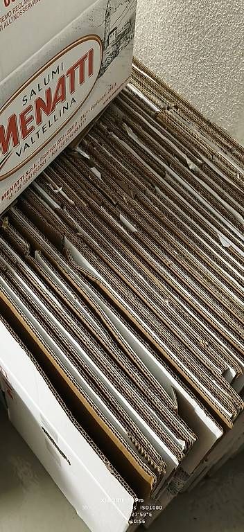 Cartoni: Zügelboxen  – Usato da Neerach venduto da ber_l5lc