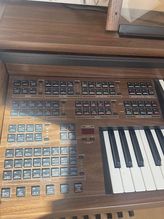 Strumenti musicali: Elektrische Orgel – Usato da Adlikon b.Regensdf venduto da Viabell 1