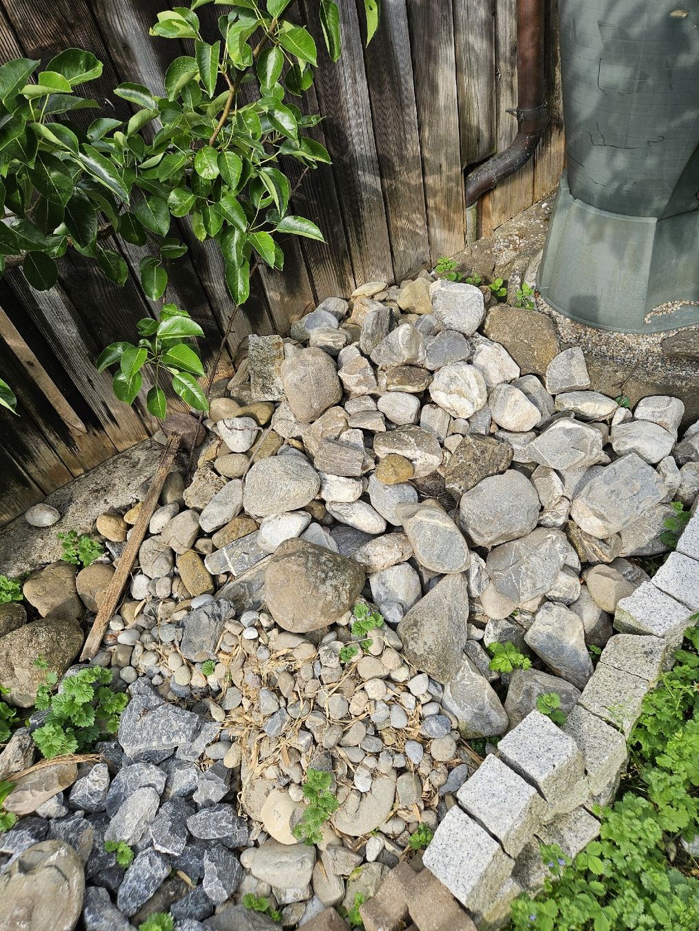 Pietre & tegole: Steine/ Gartensteine kostenlos – Usato da Saland venduto da Rose0109 4