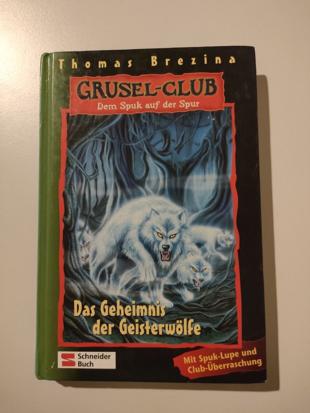 Libri: 4 Grusel-Bücher: Top Zustand – Nuovo (secondo la descrizione) da Lüsslingen venduto da Piper 3