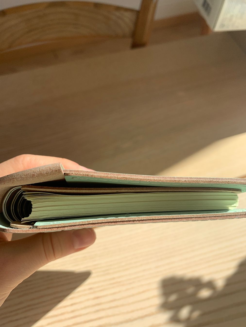 Libri: Vacavaliente A6 Notizbuch, Globus Edition, – Usato da Luzern venduto da sar_7vht 6
