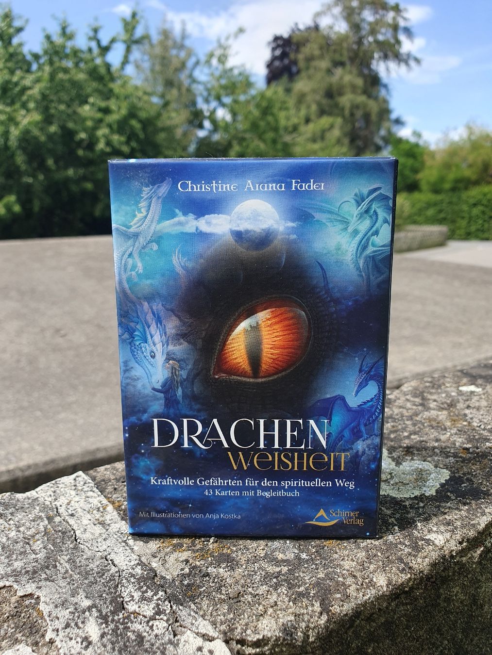 Giochi: Kartenbox Drachenweisheit 43 Karten – Usato da Wimmis venduto da hel_m26m